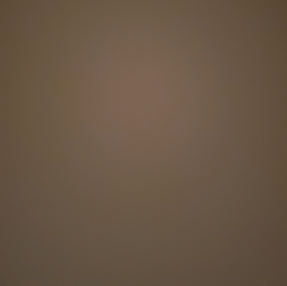 carolinaguti882